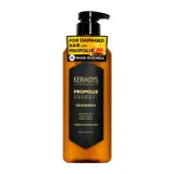 Vista 1 de Shampoo Kerasys Própolis Energy 400ML